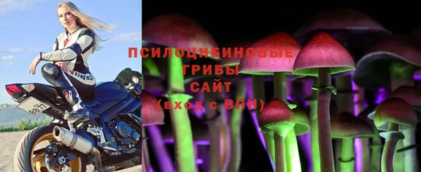 мяу мяу мука Елизово