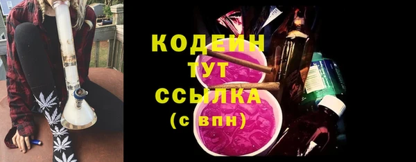 крисы Елабуга