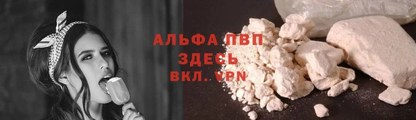 крисы Елабуга