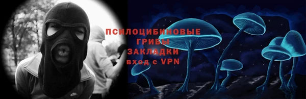не бодяженный Ельня