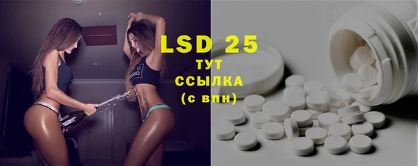 мяу мяу мука Елизово