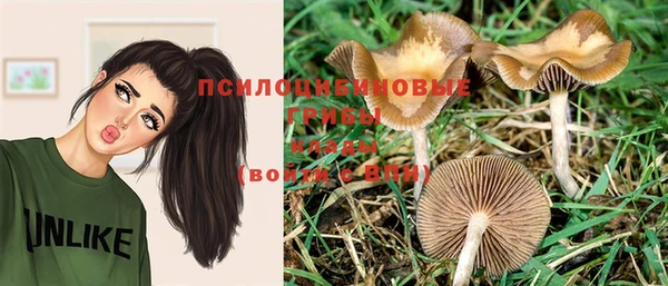 крисы Елабуга
