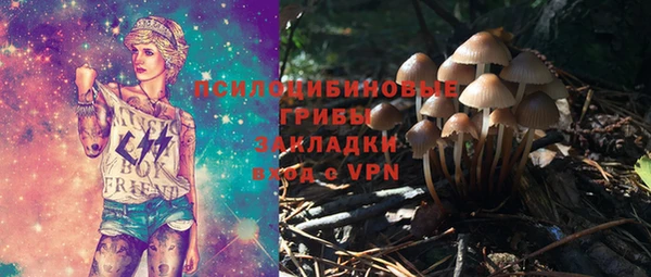 крисы Елабуга