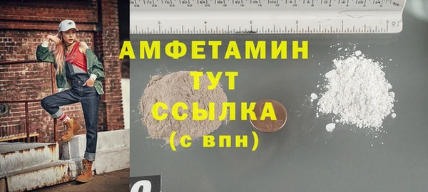 крисы Елабуга