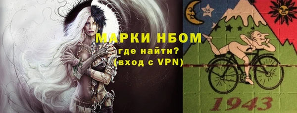 крисы Елабуга