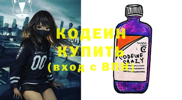 крисы Елабуга