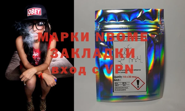 крисы Елабуга