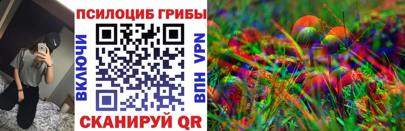 omg как зайти  Суворов  Галлюциногенные грибы MAGIC MUSHROOMS  купить закладку 